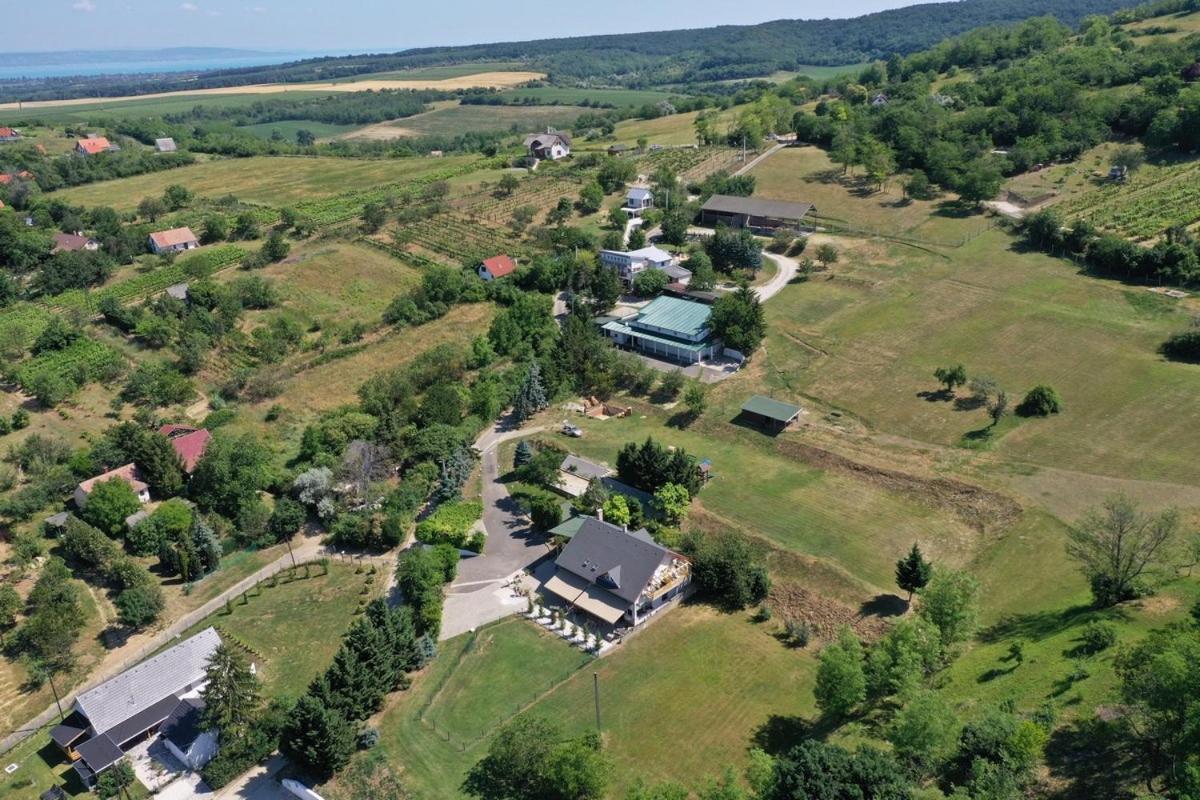 Borkuti Panzio Es Apartman Balatonszárszó Exterior foto