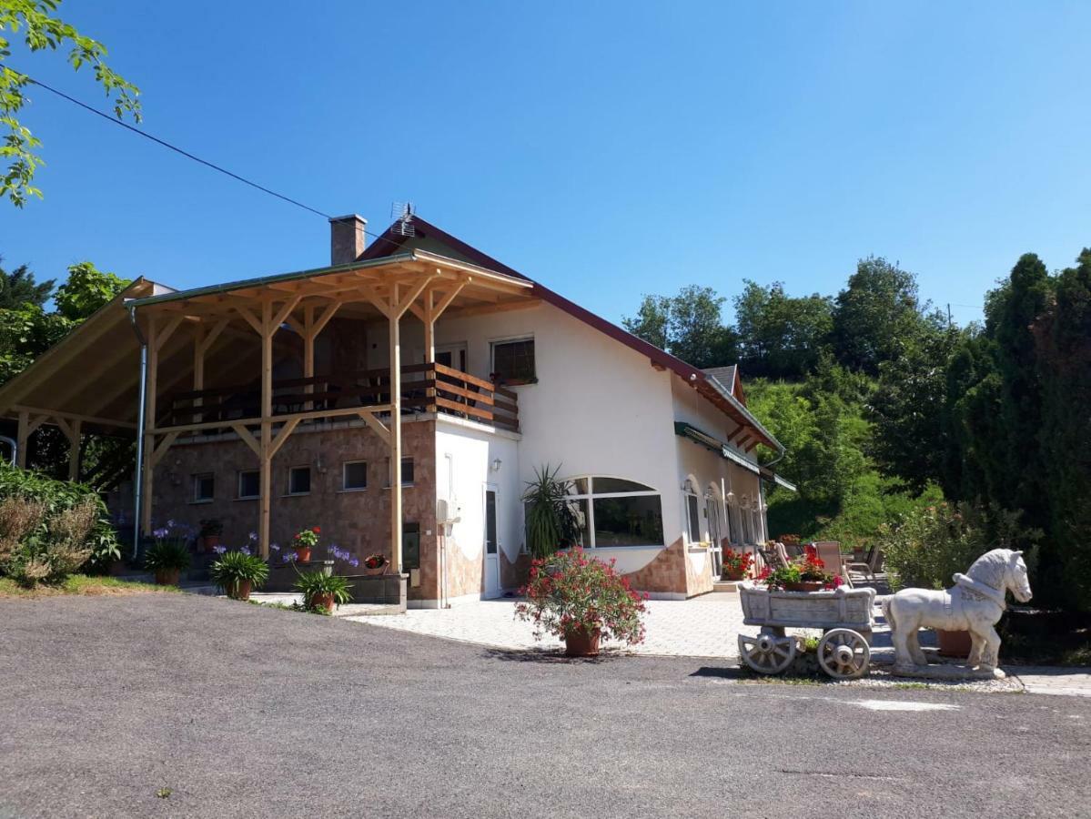 Borkuti Panzio Es Apartman Balatonszárszó Exterior foto